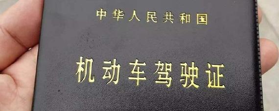 行驶证怎么看车的排量